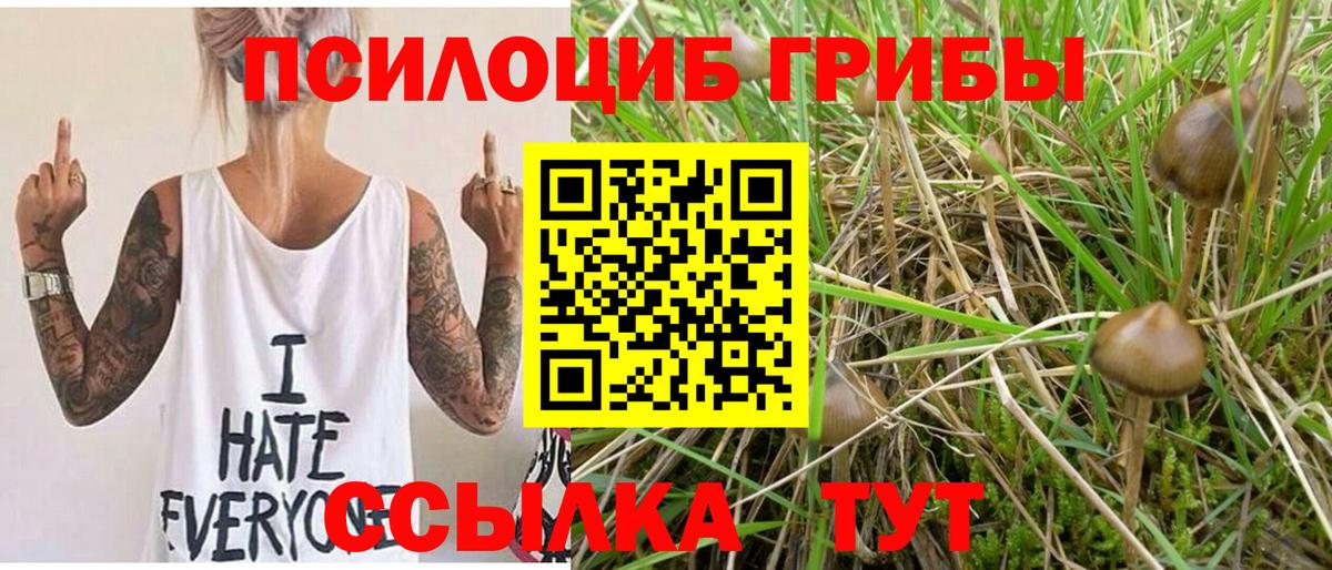 Галлюциногенные грибы Psilocybine cubensis  Псилоцибиновые грибы ЛСД  Краснотурьинск  Вход с VPN 